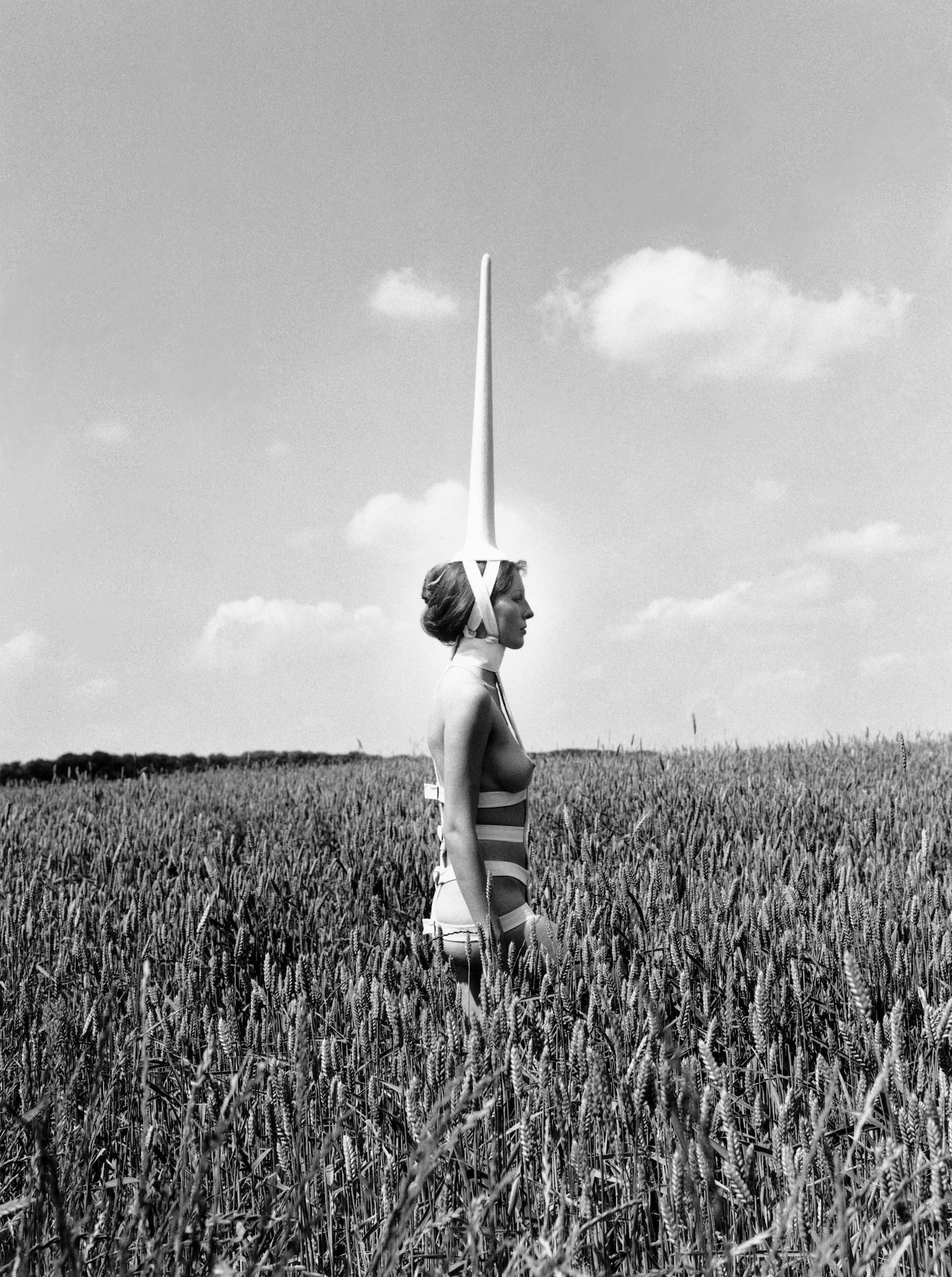 Abbildung Biografie 2