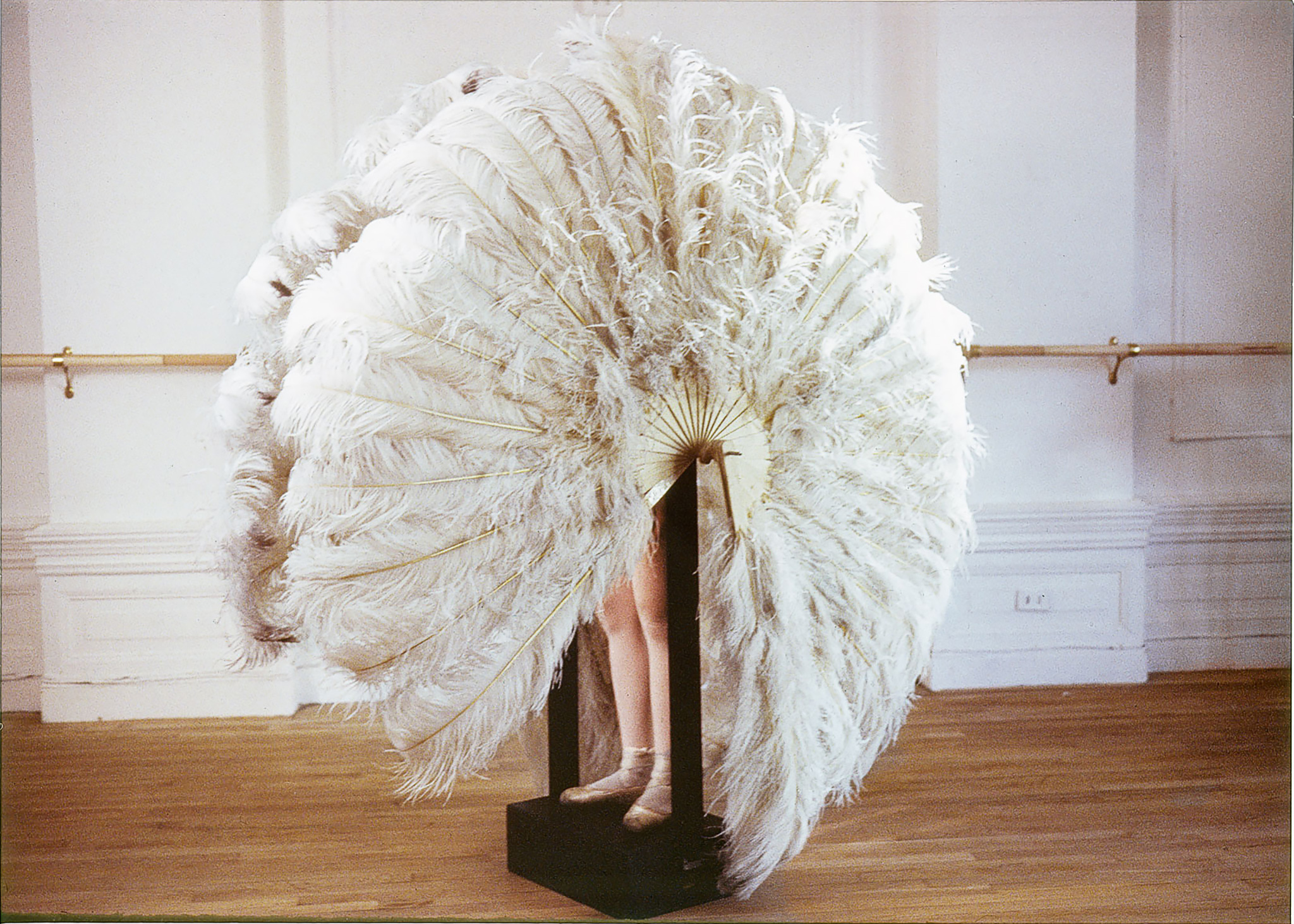 Abbildung Biografie 3